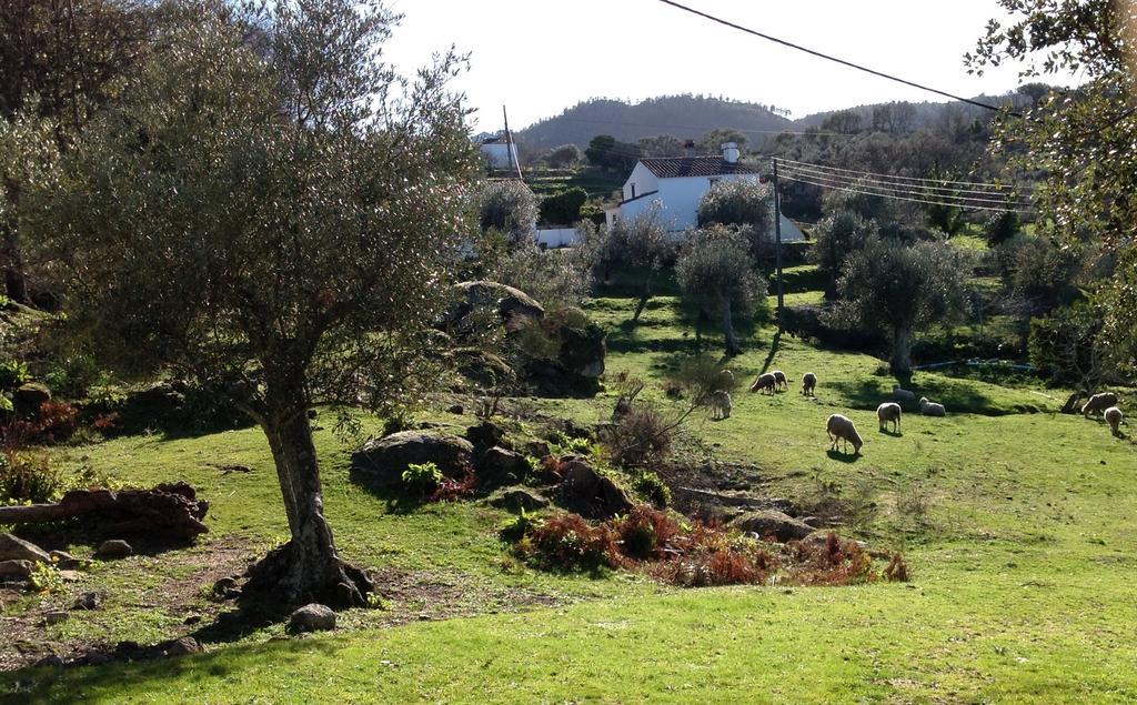 雷富希奥达马塞拉度假屋 Marvão 外观 照片